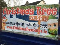 Christmas Tree Sales image 4